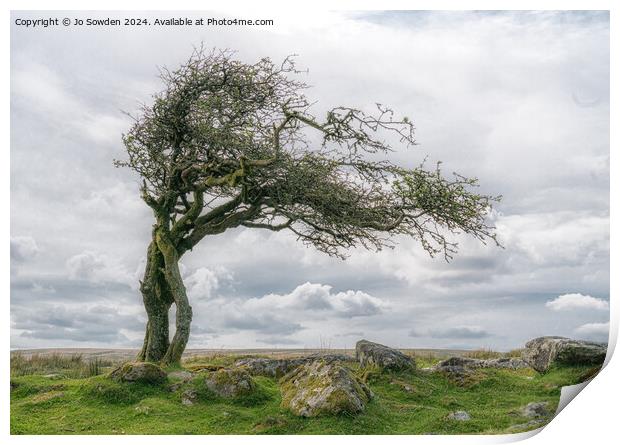 Combestone Tor Tree, Dartmoor Print by Jo Sowden