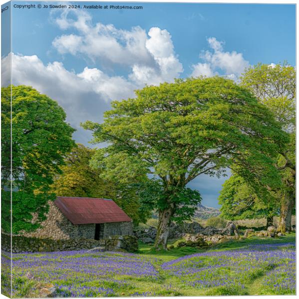 Bluebells at Emsworthy Mire. Dartmoor Canvas Print by Jo Sowden