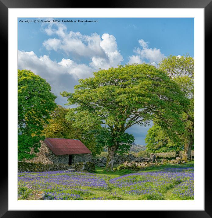 Bluebells at Emsworthy Mire. Dartmoor Framed Mounted Print by Jo Sowden
