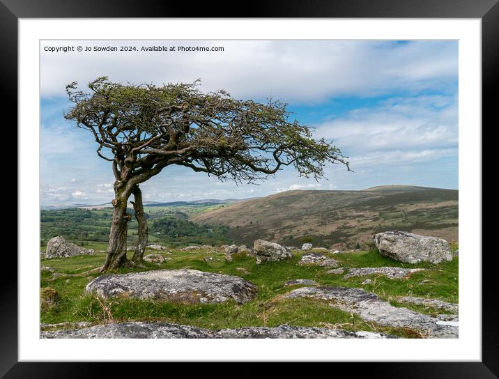 Combestone Tor Tree, Dartmoor Framed Mounted Print by Jo Sowden