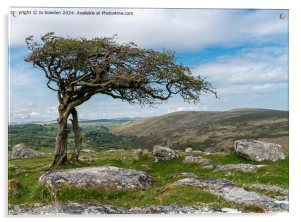 Combestone Tor Tree, Dartmoor Acrylic by Jo Sowden