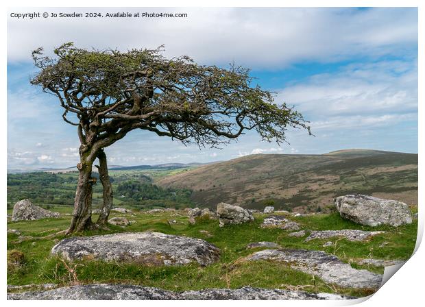 Combestone Tor Tree, Dartmoor Print by Jo Sowden