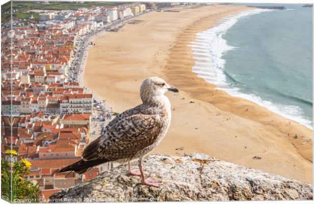 Yellow-legged gull observing the ocean in aerial view of the tow Canvas Print by Laurent Renault