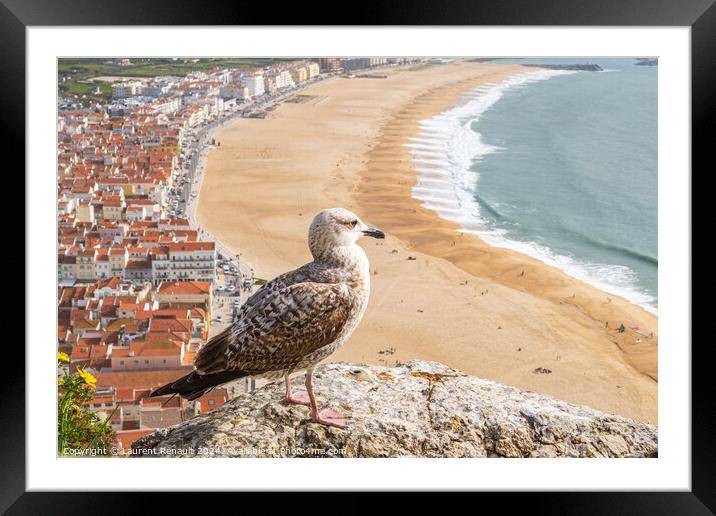 Yellow-legged gull observing the ocean in aerial view of the tow Framed Mounted Print by Laurent Renault