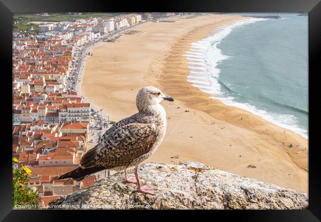 Yellow-legged gull observing the ocean in aerial view of the tow Framed Print by Laurent Renault
