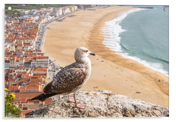 Yellow-legged gull observing the ocean in aerial view of the tow Acrylic by Laurent Renault
