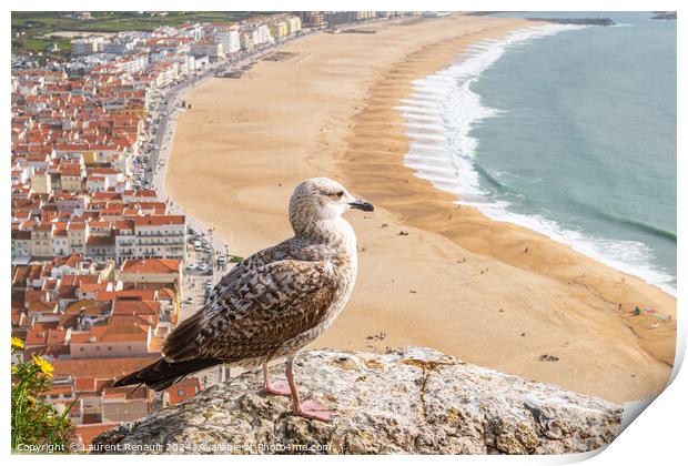 Yellow-legged gull observing the ocean in aerial view of the tow Print by Laurent Renault