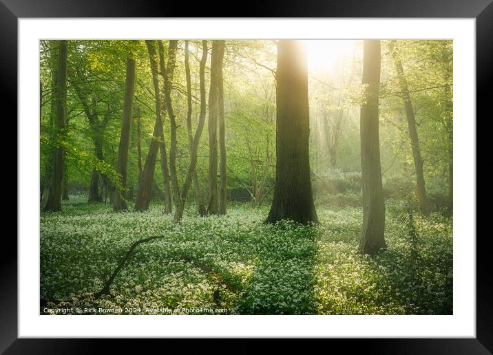Magical Light Framed Mounted Print by Rick Bowden