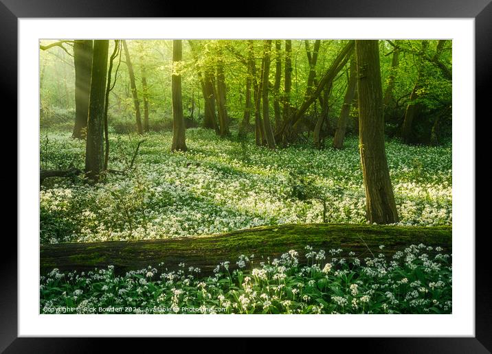Enchanted Framed Mounted Print by Rick Bowden
