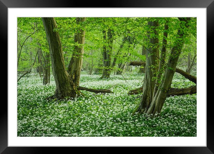 Wild Garlic Woods Framed Mounted Print by Rick Bowden