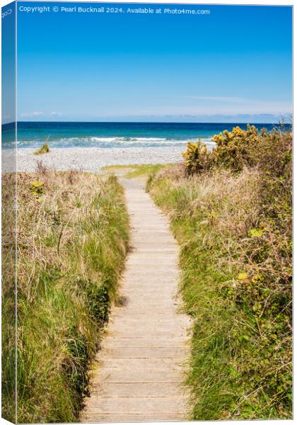 Path to Llanddona Beach and Sea Isle of Anglesey Canvas Print by Pearl Bucknall