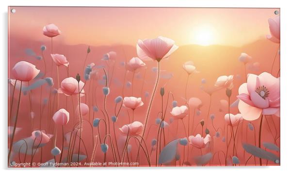 Pink Poppies at Sunset Acrylic by Geoff Tydeman