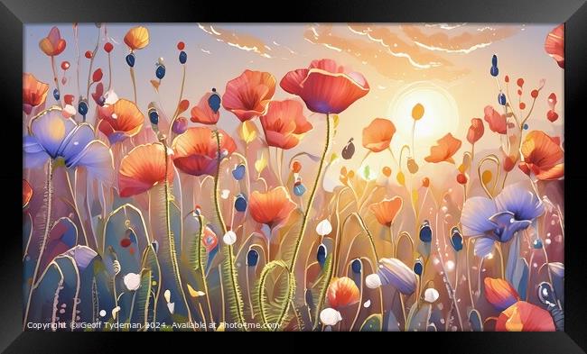 Sunset Poppies Framed Print by Geoff Tydeman