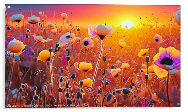 Poppies at Sunrise Acrylic by Geoff Tydeman