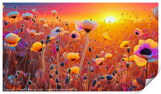 Poppies at Sunrise Print by Geoff Tydeman