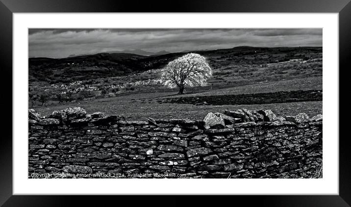 black and white welsh landscape Framed Mounted Print by Joshua Panter-Whitlock