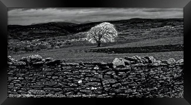 black and white welsh landscape Framed Print by Joshua Panter-Whitlock