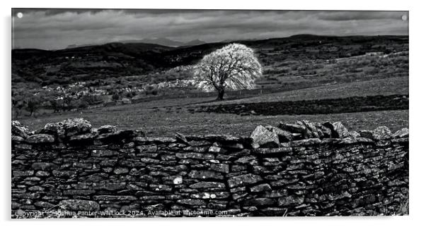 black and white welsh landscape Acrylic by Joshua Panter-Whitlock