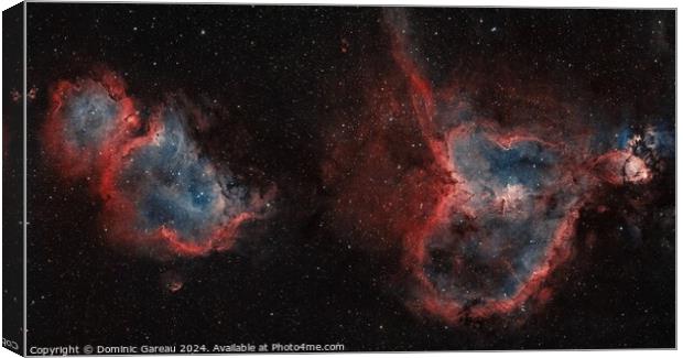 Heart and Soul Nebulae Canvas Print by Dominic Gareau