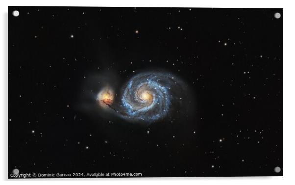 Whirlpool Galaxy Acrylic by Dominic Gareau