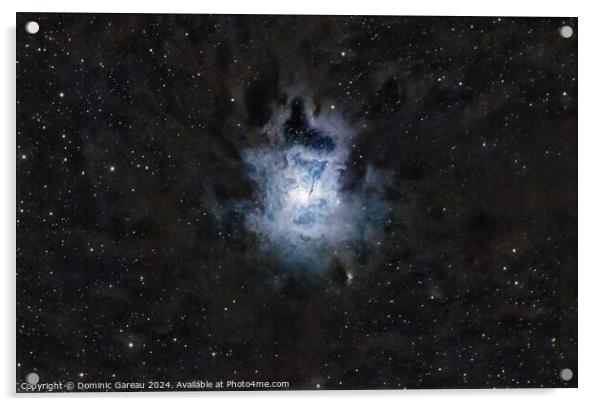 Iris Nebula Acrylic by Dominic Gareau