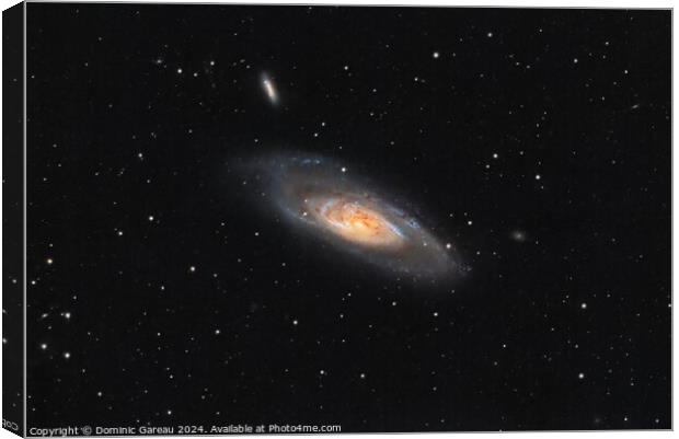 Messier 106 Canvas Print by Dominic Gareau