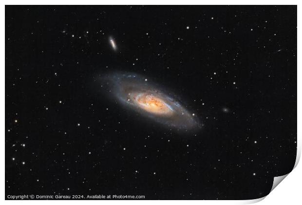 Messier 106 Print by Dominic Gareau