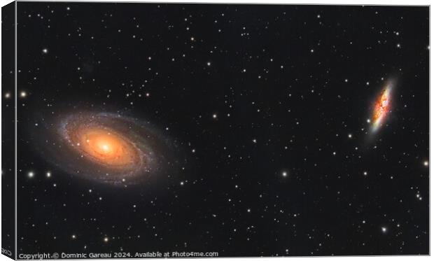 Bode's and Cigar galaxies Canvas Print by Dominic Gareau
