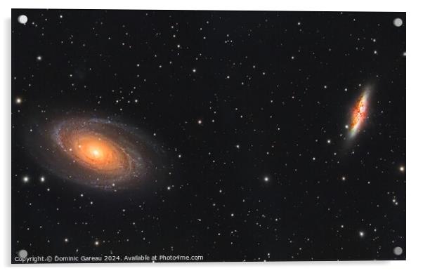 Bode's and Cigar galaxies Acrylic by Dominic Gareau