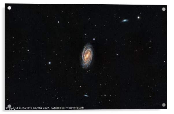 Messier 109 Acrylic by Dominic Gareau