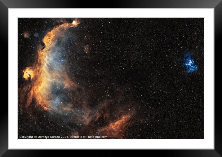 Seagull and Thor's Helmet Framed Mounted Print by Dominic Gareau