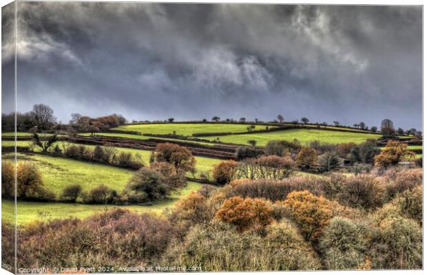 Dartmoor Hills Storm Arriving  Canvas Print by David Pyatt