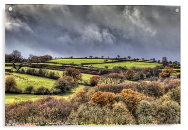 Dartmoor Hills Storm Arriving  Acrylic by David Pyatt