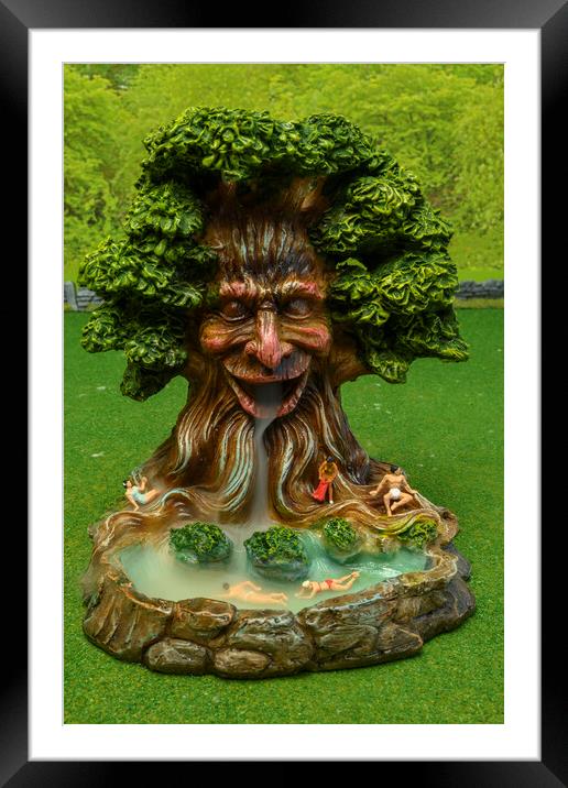 Fountain Of Youth Framed Mounted Print by Steve Purnell
