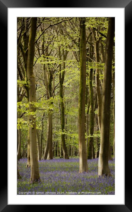 Plant tree Framed Mounted Print by Simon Johnson