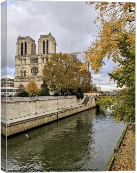Notre Dame cathedral in autumn  Canvas Print by Robert Galvin-Oliphant
