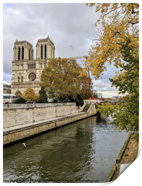 Notre Dame cathedral in autumn  Print by Robert Galvin-Oliphant