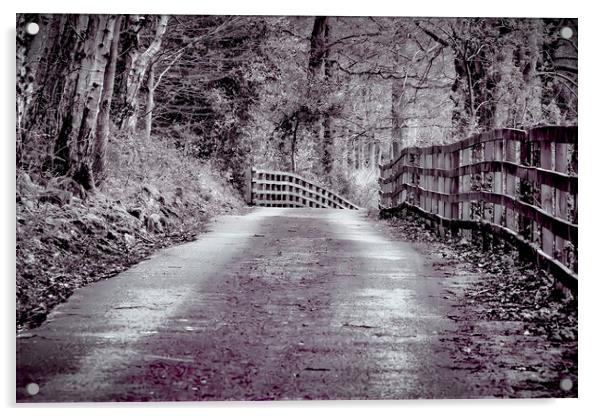 Woodland Walks - Yorkshire Acrylic by Glen Allen
