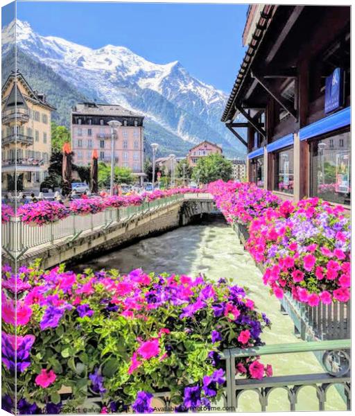 Chamonix-Mont-Blanc & flowers  Canvas Print by Robert Galvin-Oliphant