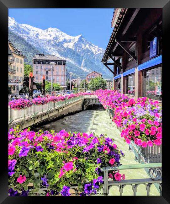 Chamonix-Mont-Blanc & flowers  Framed Print by Robert Galvin-Oliphant