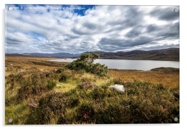 Loch Tollaidh Wester Ross Acrylic by Derek Daniel