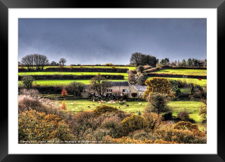 Dartmoor Hill Top Farm Framed Mounted Print by David Pyatt