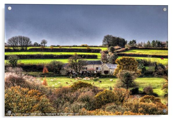 Dartmoor Hill Top Farm Acrylic by David Pyatt