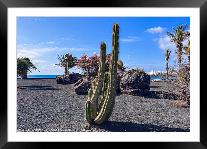 Lanzarote Beach Cactus Framed Mounted Print by RJW Images