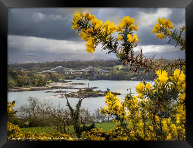 Views around the Island of Anglesey, North wales Framed Print by Gail Johnson