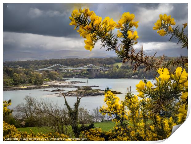 Views around the Island of Anglesey, North wales Print by Gail Johnson