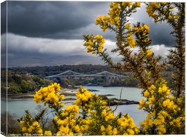 Views around the Island of Anglesey, North wales Canvas Print by Gail Johnson