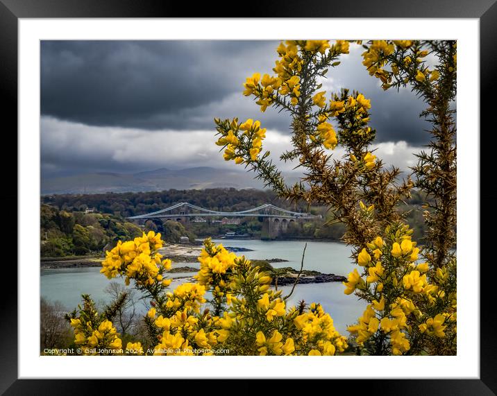 Views around the Island of Anglesey, North wales Framed Mounted Print by Gail Johnson