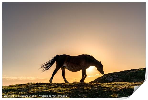 Sunset on llandwyn Island Anglesey  Print by Gail Johnson
