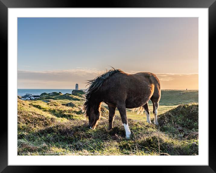 Sunset on llandwyn Island Anglesey  Framed Mounted Print by Gail Johnson